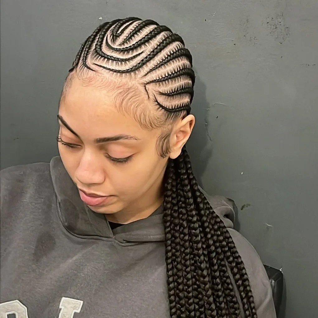 Alicia Keys Braids Hairstyles
