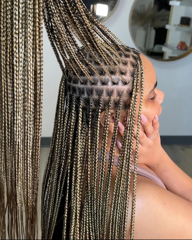 Box Braids Hairstyles