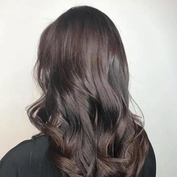 Dark Brown Hair With Light Brown Highlights