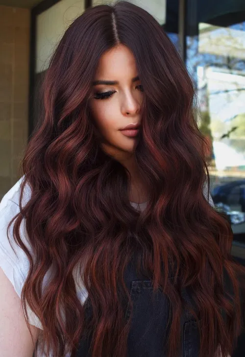 Dark Brown Hair With Red Toned Highlights