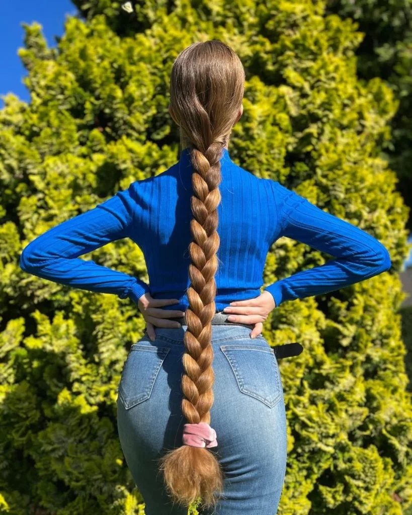 Long Thick Braids