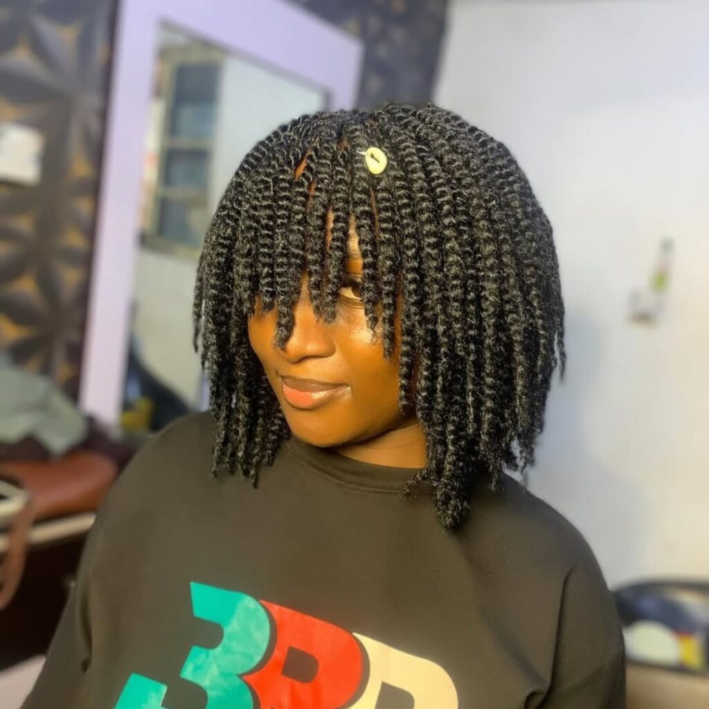 Twist Braids Hairstyles