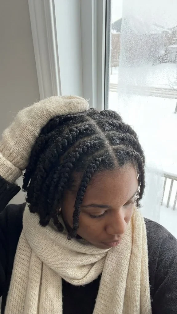 Winter Braids for Natural Hair