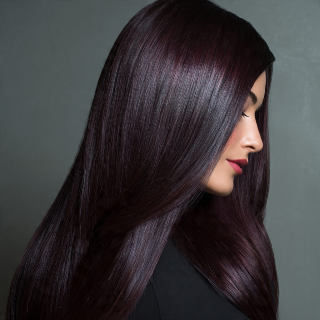 Aubergine Gloss on Dark Hair